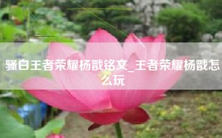 骚白王者荣耀杨戬铭文_王者荣耀杨戬怎么玩