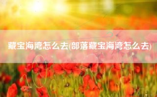 藏宝海湾怎么去(部落藏宝海湾怎么去)