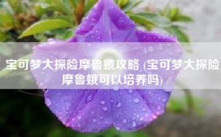 宝可梦大探险摩鲁蛾攻略 (宝可梦大探险摩鲁蛾可以培养吗)