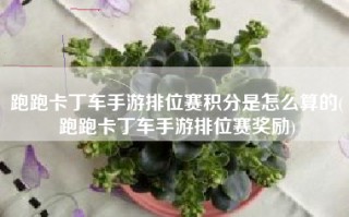 跑跑卡丁车手游排位赛积分是怎么算的(跑跑卡丁车手游排位赛奖励)