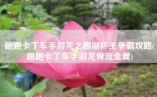 跑跑卡丁车手游龙之西湖杯王争霸攻略(跑跑卡丁车手游龙骨流金翼)