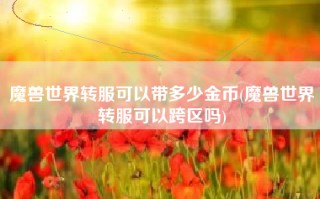 魔兽世界转服可以带多少金币(魔兽世界转服可以跨区吗)