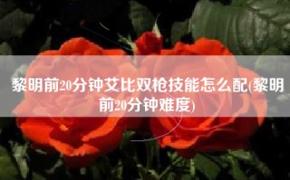 黎明前20分钟艾比双枪技能怎么配(黎明前20分钟难度)