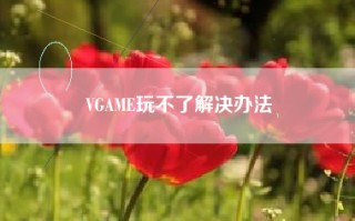 VGAME玩不了解决办法