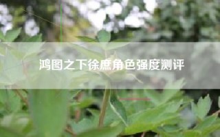 鸿图之下徐庶角色强度测评