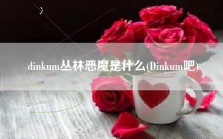 dinkum丛林恶魔是什么(Dinkum吧)
