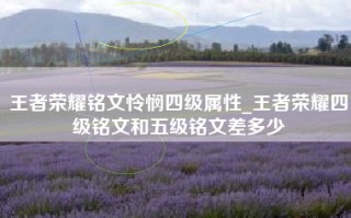 王者荣耀铭文怜悯四级属性_王者荣耀四级铭文和五级铭文差多少