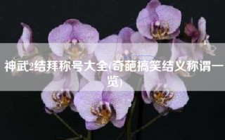 神武2结拜称号大全(奇葩搞笑结义称谓一览)