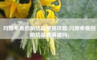 玛娜希斯回响结晶使用攻略(玛娜希斯回响结晶要满破吗)
