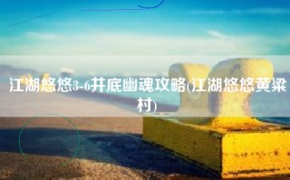 江湖悠悠3-6井底幽魂攻略(江湖悠悠黄粱村)
