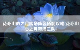 花亦山心之月爬塔阵容搭配攻略(花亦山心之月爬塔二队)