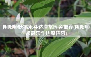 阴阳师妖福乐斗达摩祭阵容推荐(阴阳师妖福乐斗达摩阵容)