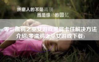 零：濡鸦之巫女游戏黑屏卡住解决方法介绍(零濡鸦之巫女游戏下载)