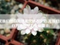 龙族幻想白月境龙文秘石攻略(龙族幻想白月境完整石头刷新点)