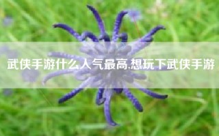 武侠手游什么人气最高,想玩下武侠手游