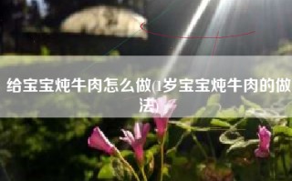 给宝宝炖牛肉怎么做(1岁宝宝炖牛肉的做法)