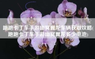 跑跑卡丁车手游幽冥翼龙车辆获取攻略(跑跑卡丁车手游幽冥翼龙多少电池)