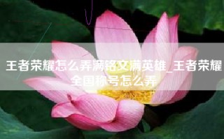王者荣耀怎么弄满铭文满英雄_王者荣耀全国称号怎么弄