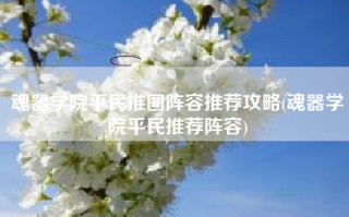 魂器学院平民推图阵容推荐攻略(魂器学院平民推荐阵容)