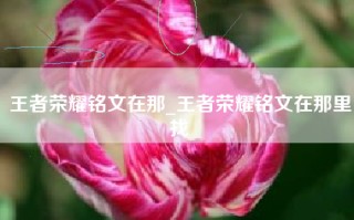 王者荣耀铭文在那_王者荣耀铭文在那里找