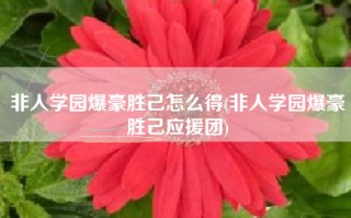 非人学园爆豪胜己怎么得(非人学园爆豪胜己应援团)