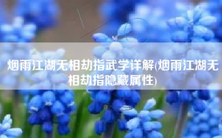 烟雨江湖无相劫指武学详解(烟雨江湖无相劫指隐藏属性)