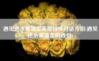 遇见逆水寒温柔茶楼特殊对话介绍(遇见逆水寒温柔的诗句)