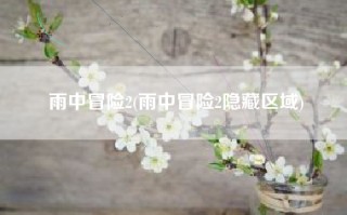 雨中冒险2(雨中冒险2隐藏区域)