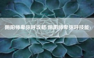 阴阳师卑弥呼攻略(阴阳师卑弥呼技能)