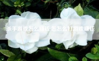 杀手游戏怎么赚钱,怎怎么打游戏赚钱