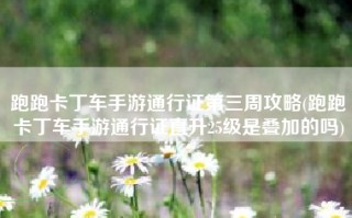 跑跑卡丁车手游通行证第三周攻略(跑跑卡丁车手游通行证直升25级是叠加的吗)
