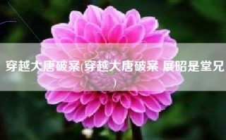 穿越大唐破案(穿越大唐破案 展昭是堂兄)