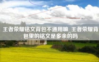 王者荣耀铭文背包不通用嘛_王者荣耀背包里的铭文是多余的吗