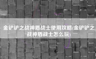 金铲铲之战神盾战士使用攻略(金铲铲之战神盾战士怎么玩)