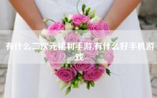 有什么二次元福利手游,有什么好手机游戏