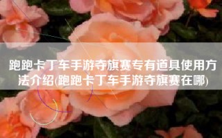 跑跑卡丁车手游夺旗赛专有道具使用方法介绍(跑跑卡丁车手游夺旗赛在哪)