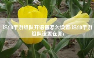 诛仙手游组队开语音怎么设置(诛仙手游组队设置在哪)