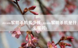 steam黎明杀机多少钱(steam黎明杀机是什么服的)