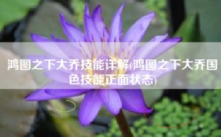 鸿图之下大乔技能详解(鸿图之下大乔国色技能正面状态)