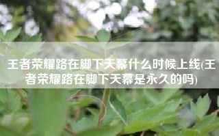 王者荣耀路在脚下天幕什么时候上线(王者荣耀路在脚下天幕是永久的吗)