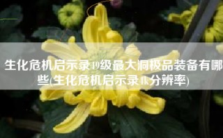 生化危机启示录49级最大洞极品装备有哪些(生化危机启示录4k分辨率)