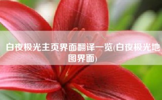 白夜极光主页界面翻译一览(白夜极光地图界面)