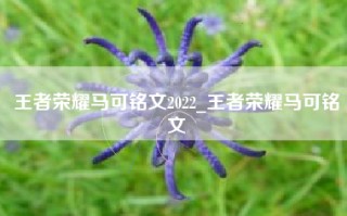 王者荣耀马可铭文2022_王者荣耀马可铭文