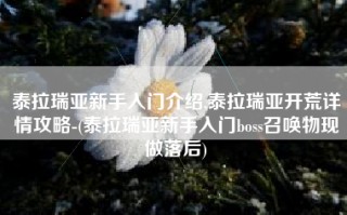 泰拉瑞亚新手入门介绍,泰拉瑞亚开荒详情攻略-(泰拉瑞亚新手入门boss召唤物现做落后)