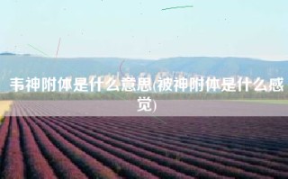 韦神附体是什么意思(被神附体是什么感觉)