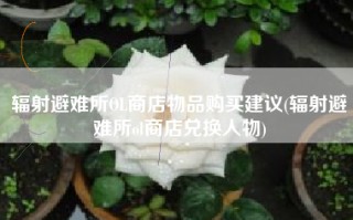 辐射避难所OL商店物品购买建议(辐射避难所ol商店兑换人物)