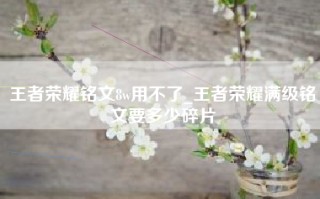 王者荣耀铭文8w用不了_王者荣耀满级铭文要多少碎片