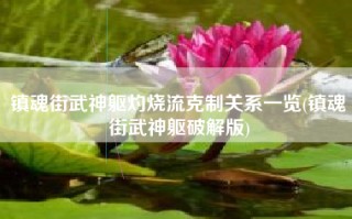 镇魂街武神躯灼烧流克制关系一览(镇魂街武神躯破解版)