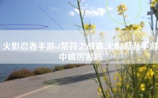 火影忍者手游ol禁符之战蝎,火影忍者手游中蝎厉害吗