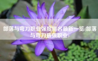 部落与弯刀职业强度排名最新一览(部落与弯刀最强职业)